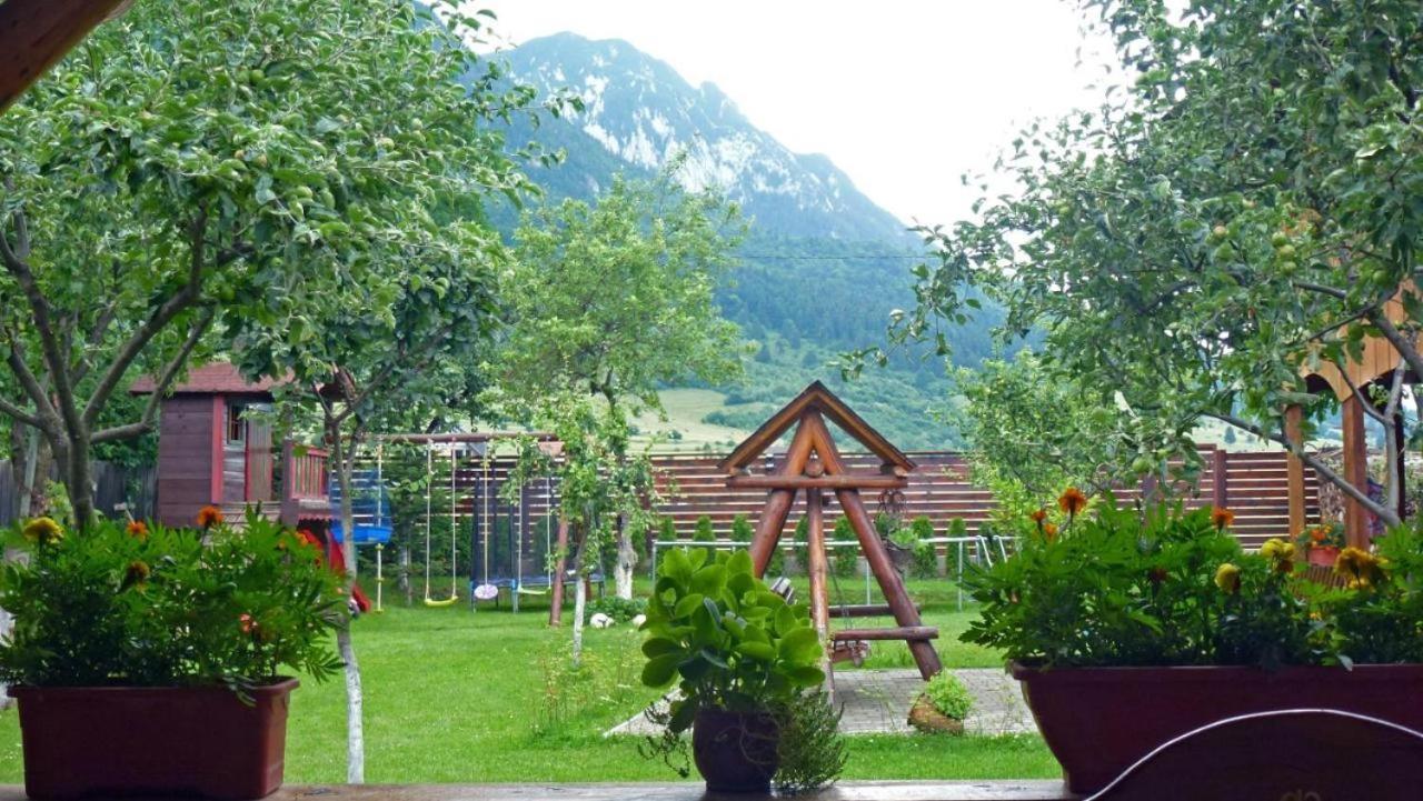 Sura Pietrei Craiului Hotell Zărneşti Exteriör bild