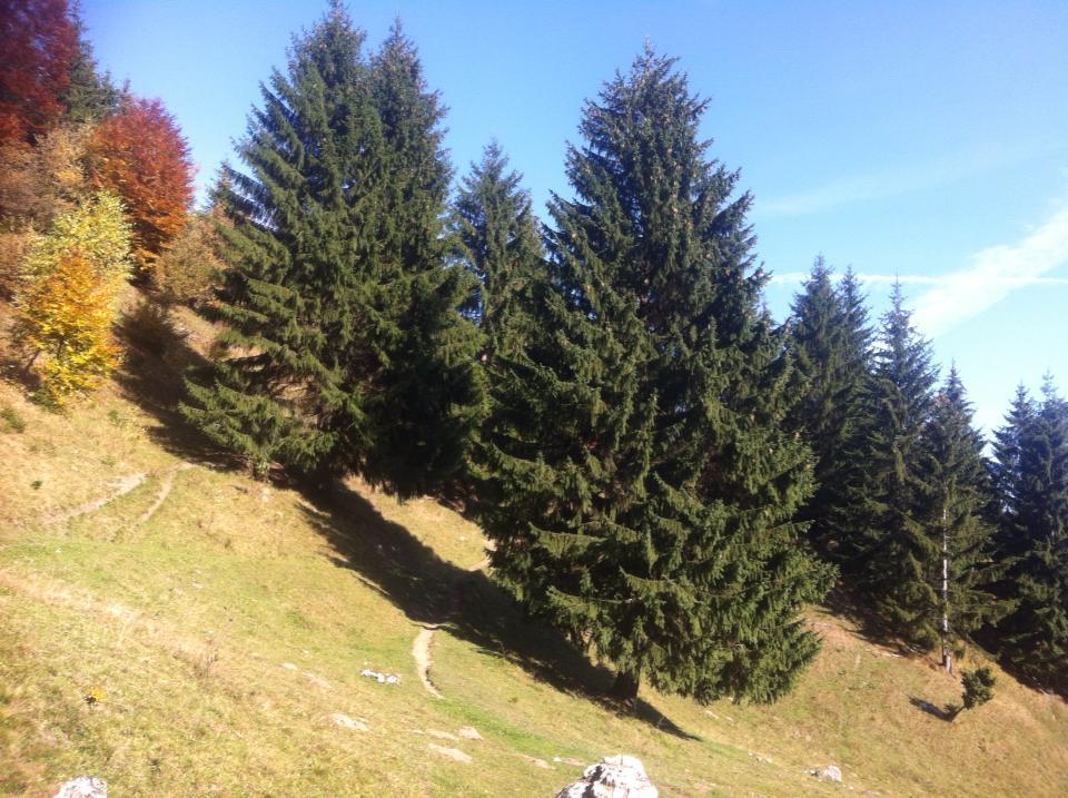 Sura Pietrei Craiului Hotell Zărneşti Exteriör bild