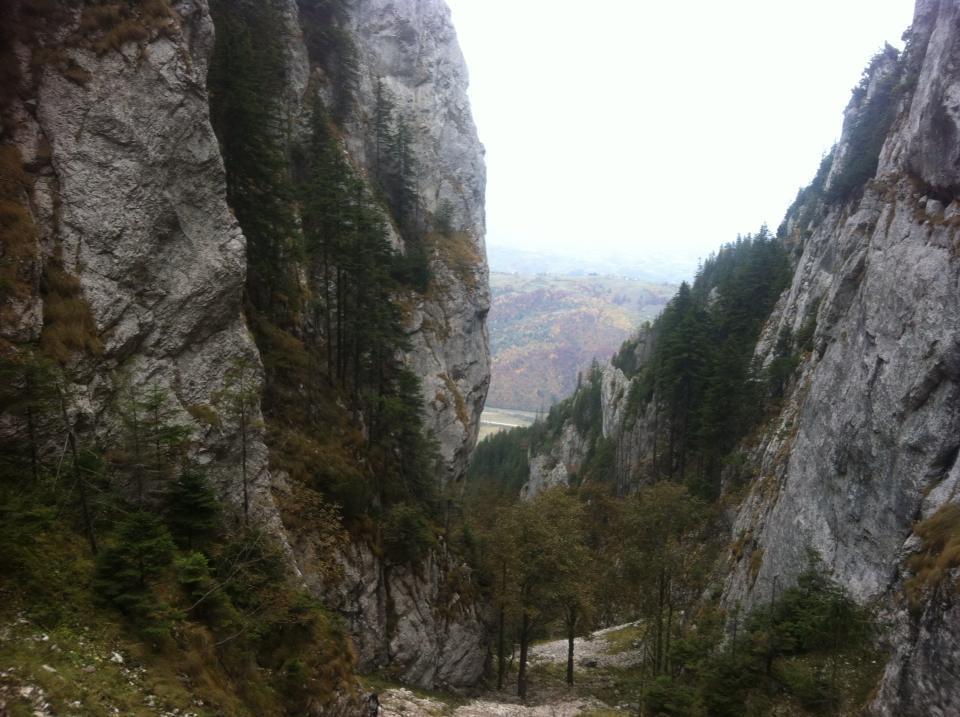 Sura Pietrei Craiului Hotell Zărneşti Exteriör bild